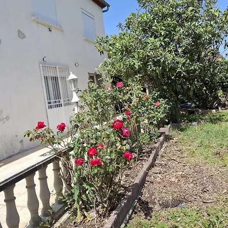 Lady Rose Nimes, House For 14 People * Caissargues