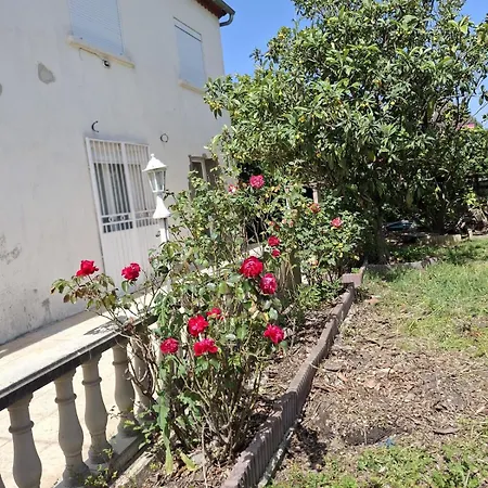 Dom wakacyjny Lady Rose Nimes, House For 14 People *