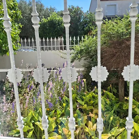 Lady Rose Nimes, House For 14 People Caissargues