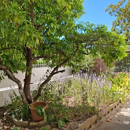 Dom wakacyjny Lady Rose Nimes, House For 14 People Caissargues