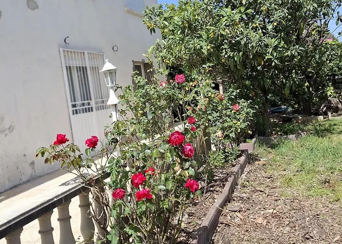 Lady Rose Nimes Special Offer For Business Travelers Large 7 Bedroom House And 7 Bathrooms * Caissargues
