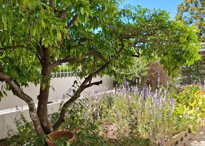 Casa de Férias Lady Rose Nimes Special Offer For Business Travelers Large 7 Bedroom House And 7 Bathrooms Caissargues